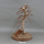Preview: Larix, Lärche, Bonsai
